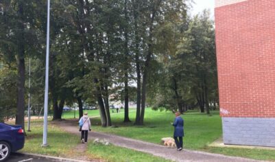 Фото обычной жизни в Эстонии, которые вызывают у меня зависть к местным (мне жаль, что в России не так)