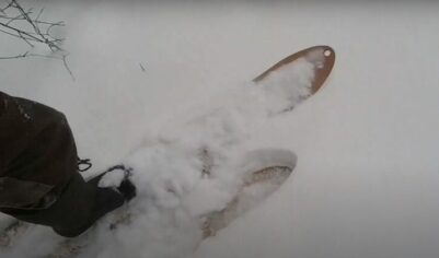 Хочу в лесу выживать и снег чистить  Что еще могут делать в лесу городские?