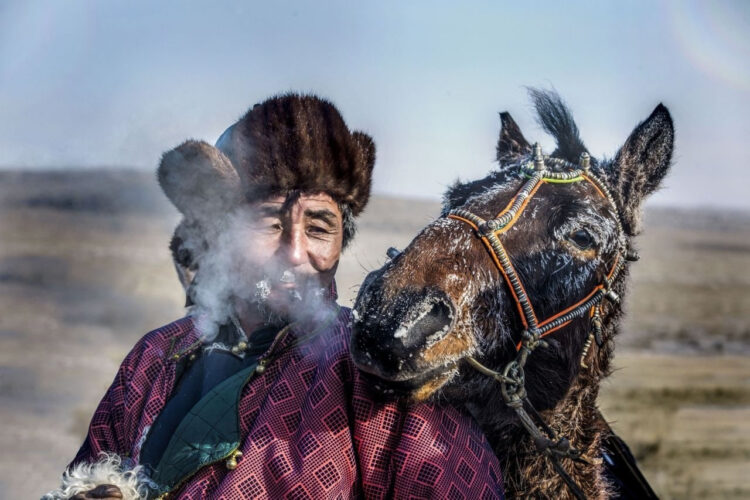 Монгольские лошади: Благодаря ним Чингисхан завоевал полмира. Невозможно выносливые и вечно дикие скакуны0