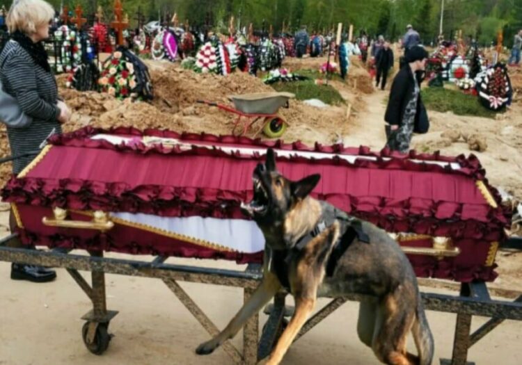 Пёс зарычал на гроб хозяина, перед закопкой. Когда открыли крышку, вся деревня вздрогнула0