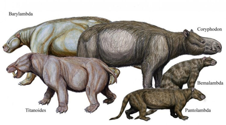 Пантолямбда: Это существо попыталось завоевать планету сразу же после вымирания динозавров. Что из этого получилось?0