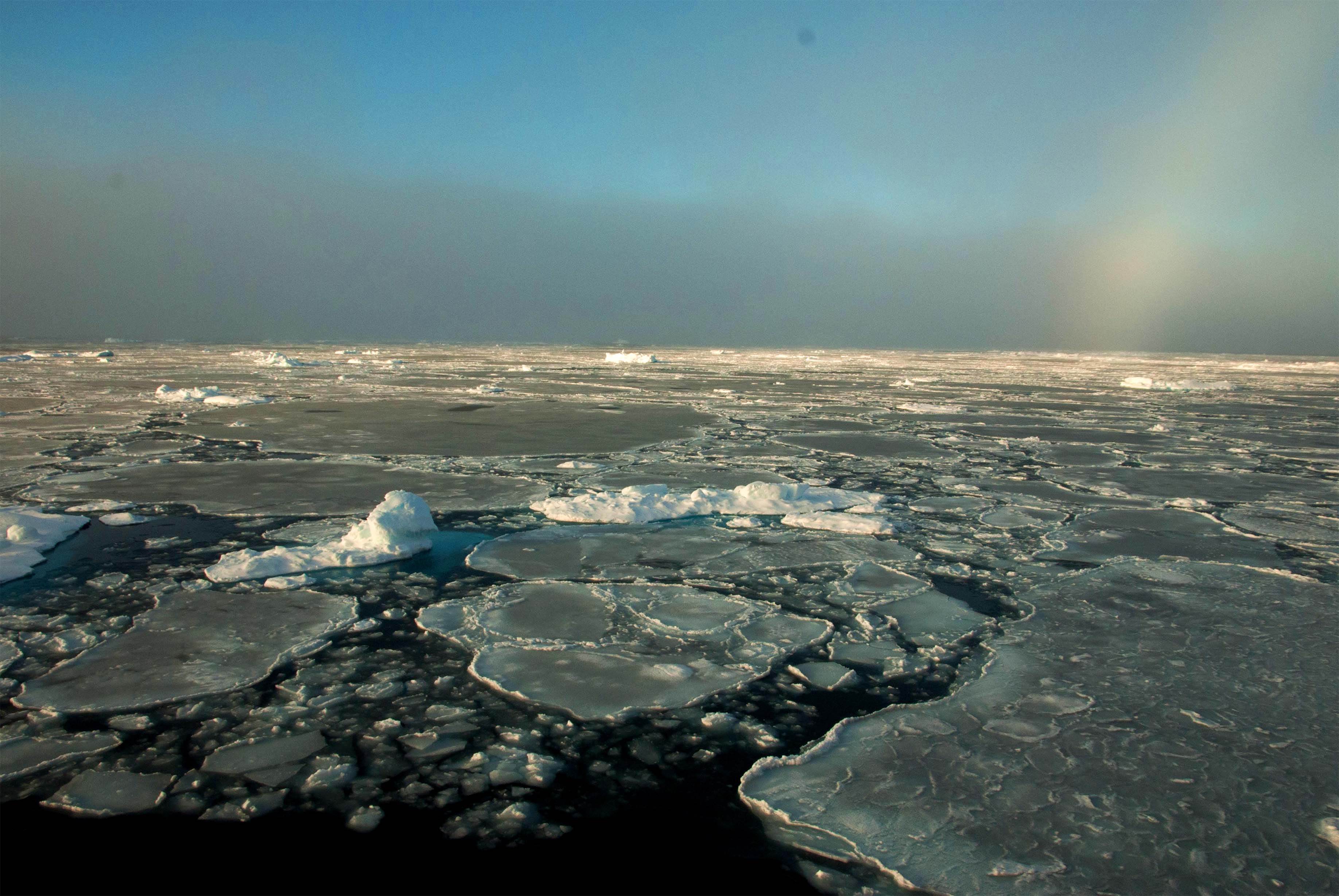 Что на дне северного ледовитого океана