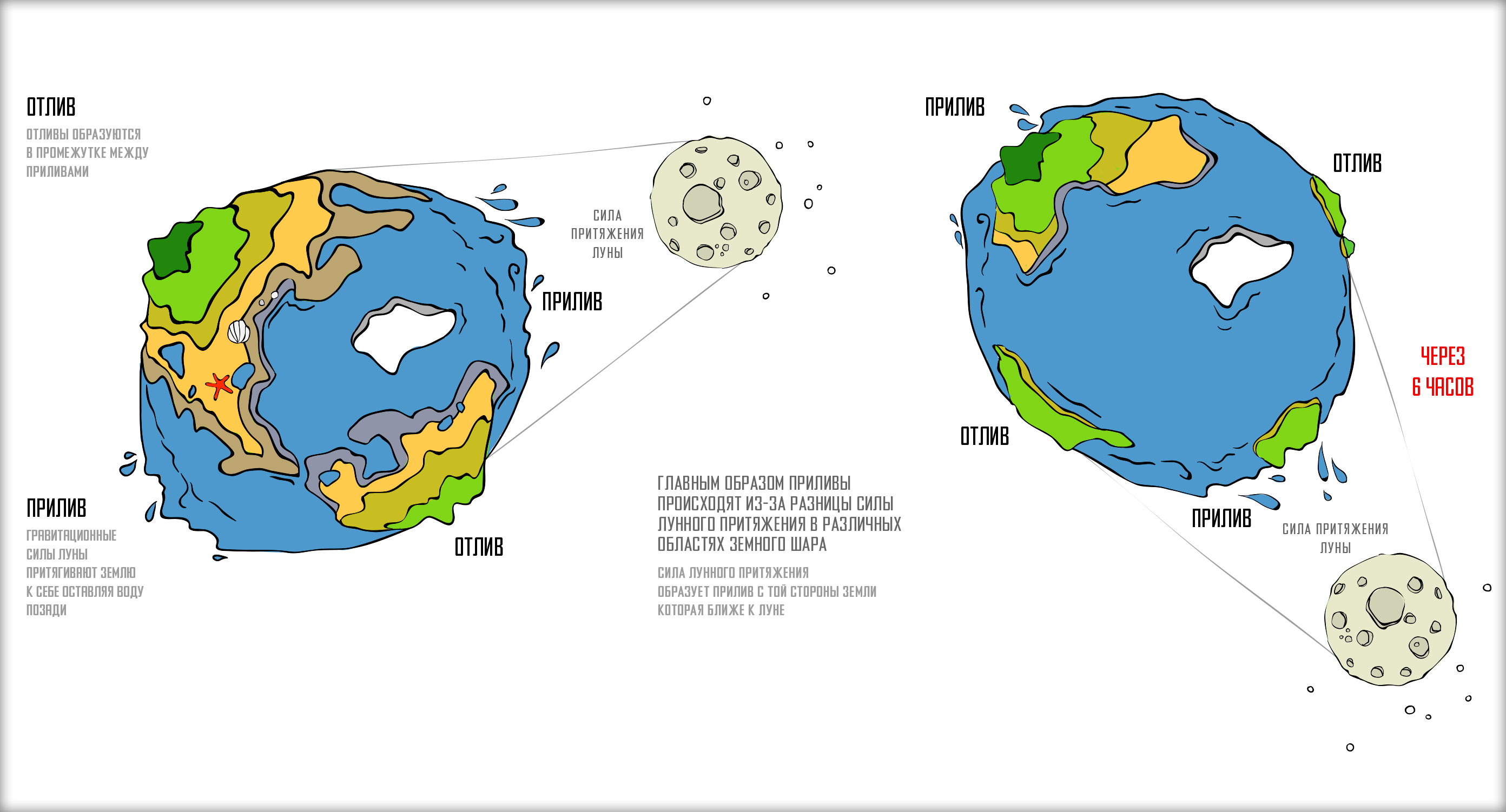 Вызванные притяжением луны. Земля Луна отлив прилив схема. Приливы и отливы Луна схема. Схема образования приливов и отливов. Приливы и отливы влияние Луны схема.
