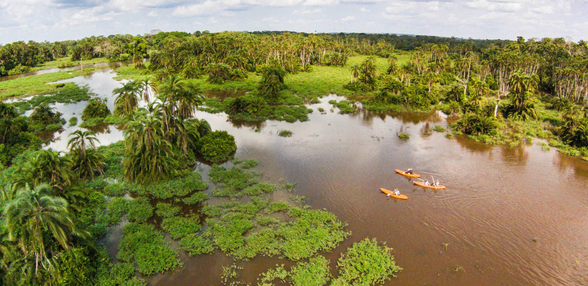 Почему река конго. Национальный парк Салонга в Африке. Конго Заир река. Река Конго национальный парк Салонга. Река Конго в Африке.