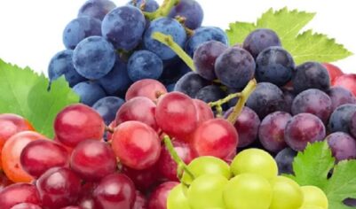 Диетолог рассказал, какой самый полезный сорт винограда