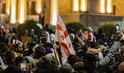 Массовые протесты в Грузии после выборов в парламент завершены