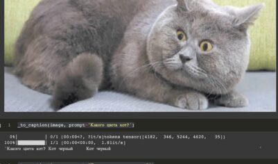 Image captioning on Russian