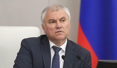 Вячеслав Володин раскритиковал выступающих против запрета пропаганды идеологии чайлдфри