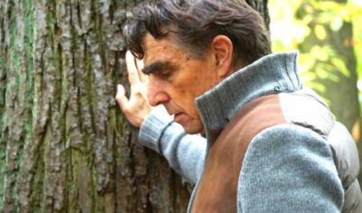 Как сейчас можно включить периоды работы в стаж, если СФР их исключил: новые примеры