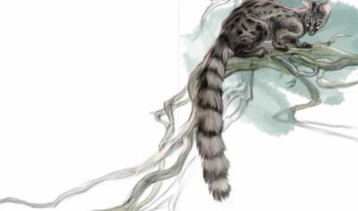 Книга животных: Обращение к подписчикам!