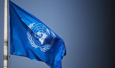 В ООН отреагировали на применение Украиной противопехотных мин