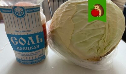 Чтобы капуста квасилась, а не тухла. Была хрустящая и сочная, а не мягкая и с плесенью: 5 тонкостей процесса