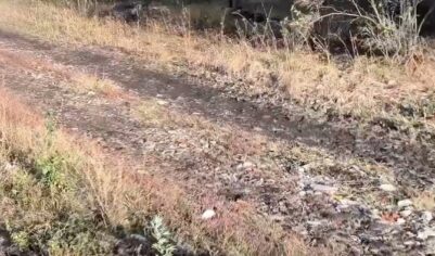Чиновник посоветовал многодетной семье купить вертолет, а не жаловаться на бездорожье