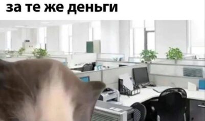 А вам удавалось провернуть «тихое увольнение»? Просто работать по минимуму, раз уж не ценят