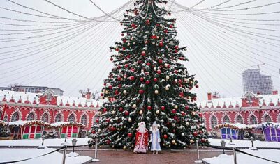 Москвичей пригласили на новогодние представления во дворец царской семьи