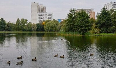 Часть парка «Ангарские пруды» благоустроят по программе КРТ в Москве