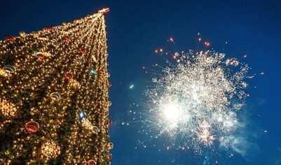 Российский регион оставили без елок на Новый год