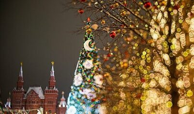 В Кремль привезут главную новогоднюю ель России