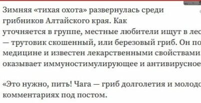 «Загадочный гриб», или «Нарочно не придумаешь»
