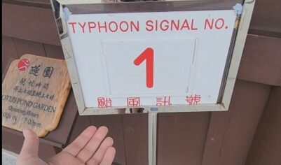 Каждые несколько часов выходили ПРЕДУПРЕЖДЕНИЯ о повышении категории тайфуна. Попала в настоящий тайфун в Гонконге. Было ли страшно?