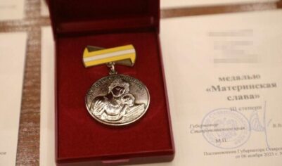 Орденом наградили, а на пособия пощипали — многодетная мать в шоке