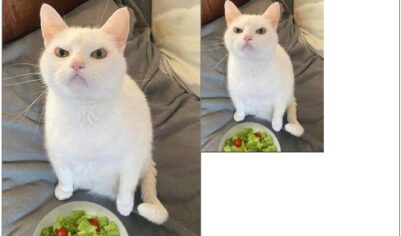 Browser Image Compression