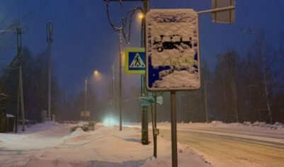 Вильфанд рассказал о погоде на январь и февраль 2025 года: кажется, зима в России полностью отменяется