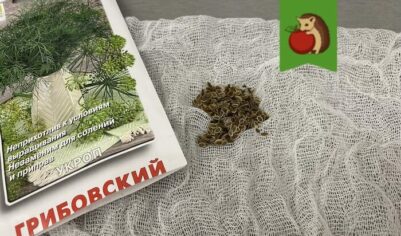 Дачникам советуют посыпать грядки пшеничной мукой: зачем и чего ожидать?
