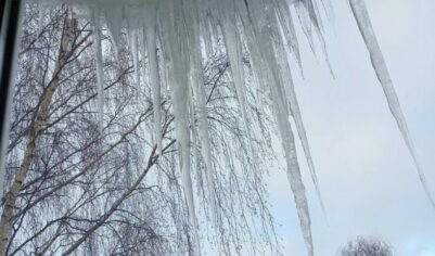 Только бы не «убиться» на гололёде. Беды города — сосульки, завалы снега, голимый лед. Беда пришла в семью пожилого человека