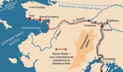Гонка милосердия — выигранная у зимы битва за жизнь