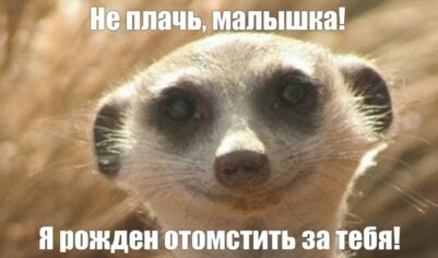 Скорми бывшего сурикату, помоги природе!