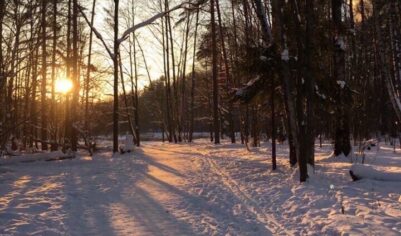 У Москвы потихонечку обрезают легкие