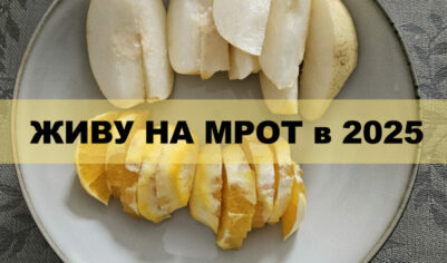 Живу на МРОТ в 2025. День 9 — Кулинарное фиаско, Плохой английский и Идеальные блогеры