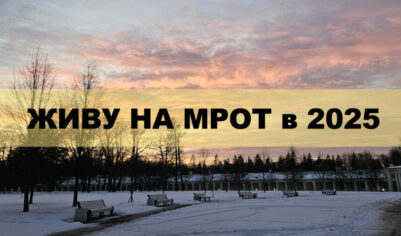 Живу на МРОТ в 2025. День 11 — Ораниенбаум вместо ужина