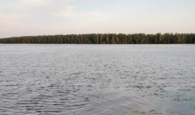Океан, скрывшийся под Россией: Куда исчезло древнее море