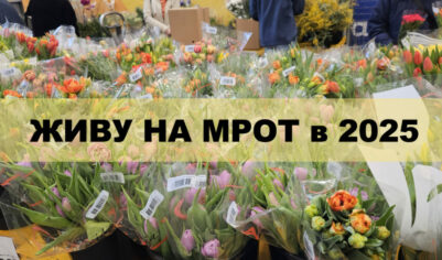 Живу на МРОТ в 2025. День 22 — Цветы и сокращённый день