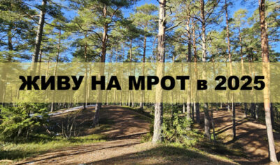 Живу на МРОТ в 2025. День 24 — Поездка в Сосновый Бор