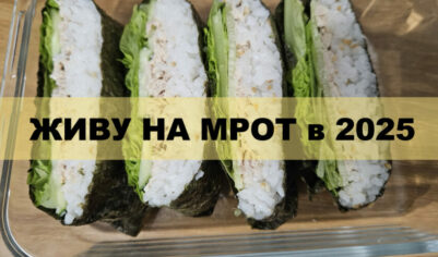 Живу на МРОТ в 2025. День 26 — Подались на льготные путёвки в санаторий
