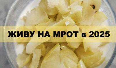 Живу на МРОТ в 2025. День 29 — Закончила одну книгу, начала следующую