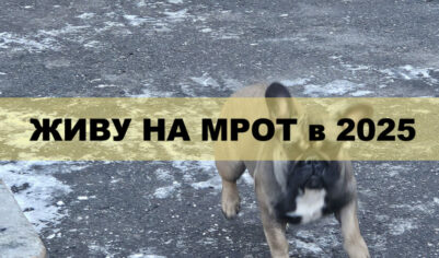 Живу на МРОТ в 2025. День 31 — Последний!