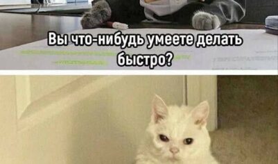 Сорванцы с правильного пути