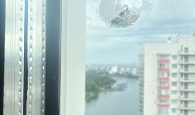 Стрельба хулиганов по стеклам или столкновение птиц с окнами домов?