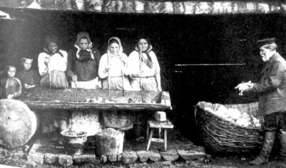 Знаменитая капуста Провансаль. Старинный рецепт и современная версия. Выбираем самый вкусный вариант 😍