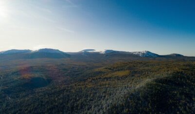 В уральских горах третий день ищут пропавшую туристку. Что с ней случилось