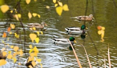 Аномальное тепло пообещали жителям нескольких регионов России. Кому повезёт уже на этой неделе
