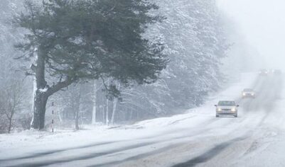 «Желтый» уровень погодной опасности объявили в столичном регионе из-за ветра