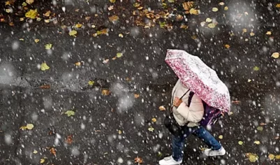 Мокрый снег в Москве ожидается на следующей неделе