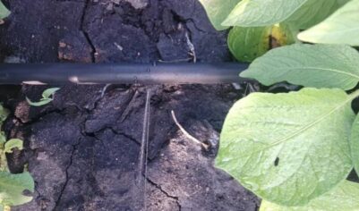 Капельный полив из бочки без насоса. Как упростить работу на огороде?