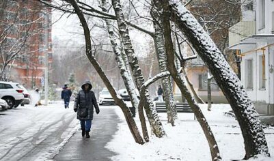 Москвичам назвали срок нового снегопада