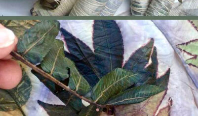 Как сделать потрясающие эко-рисунки на шарфе